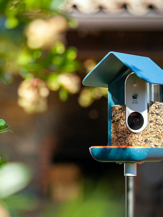 Come Impostare Una Videocamera Per Mangiatoia Per Uccelli