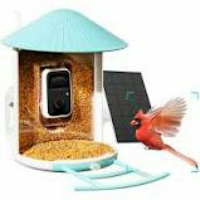 Netvue Birdfy Smart AI Guida Per L'utente Della Videocamera Per Mangiatoie Per Uccelli - Manuali+
